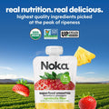 Noka Superfood Fruit Smoothie Pouches Variety Pack, Healthy Snacks with Flax Seed, Plant Protein and Prebiotic Fiber, Vegan and Gluten Free Snacks, Made in USA, Organic Squeeze Pouch, 4.22 oz, 12 Count