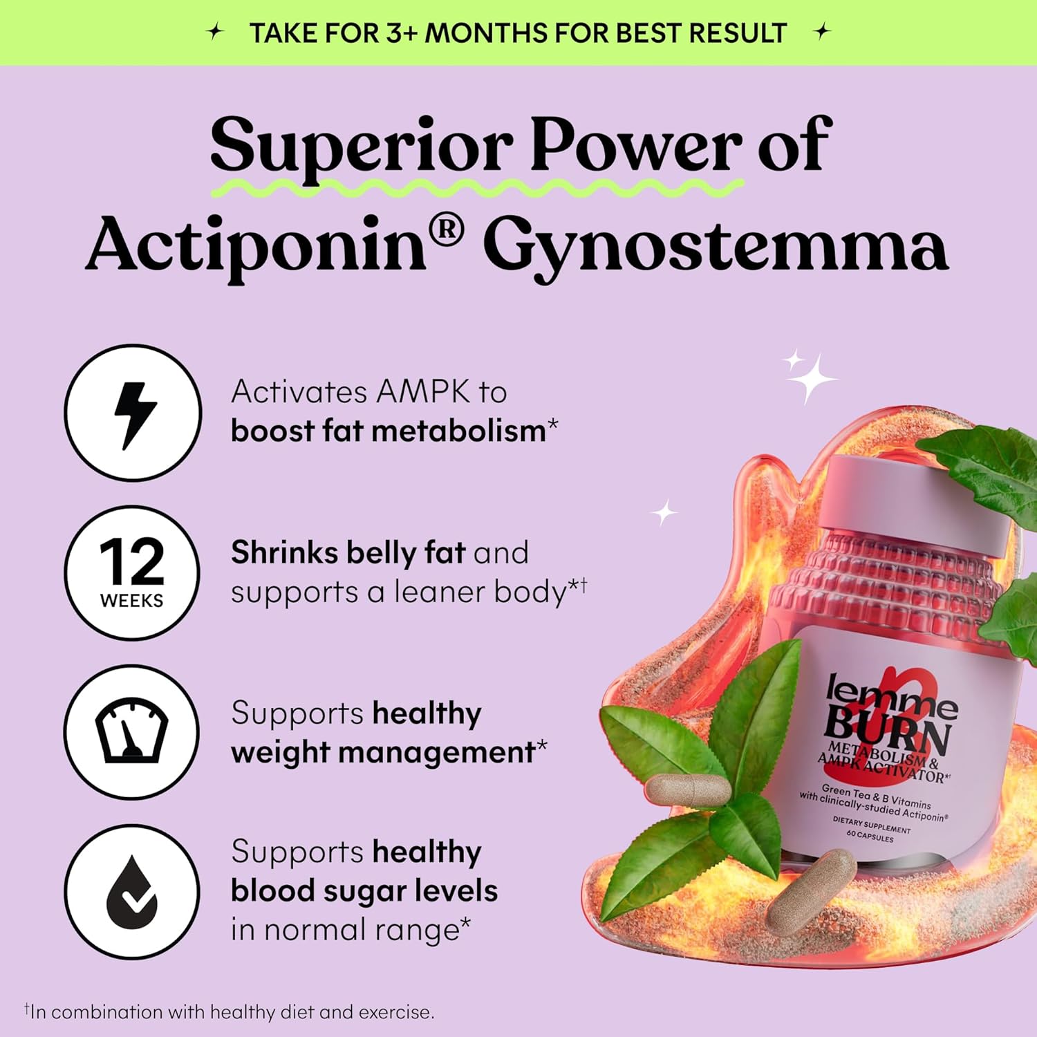 Lemme Burn - Metabolism, Belly Fat Burning + AMPK Activating Supplement for Men & Women w/Clinically Studied Actiponin Gynostemma, Green Tea Extract, Vitamins B6 & B12 - Gluten Free, 60 Count