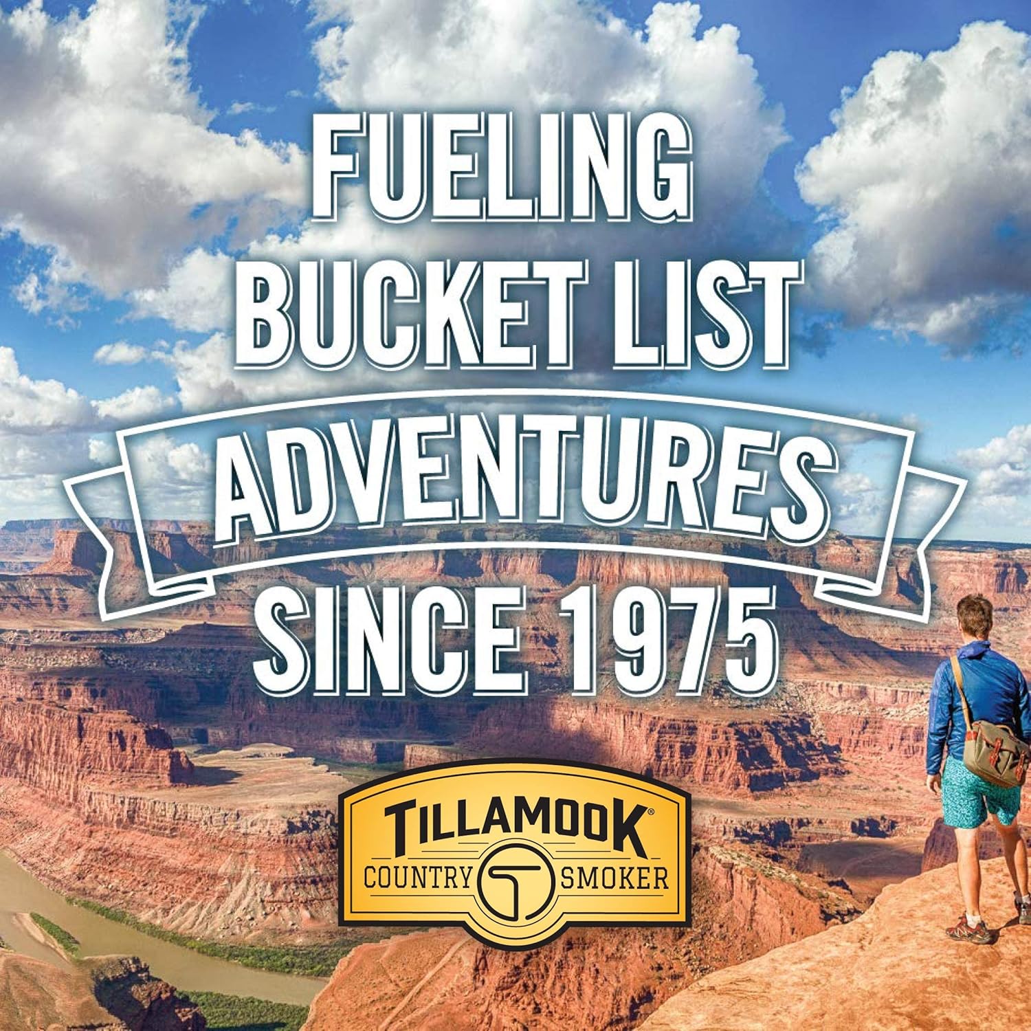 Tillamook Country Smoker Real Hardwood Smoked Sausages, Original Beef, 15.2 Ounce Tall Jar, 20 Count